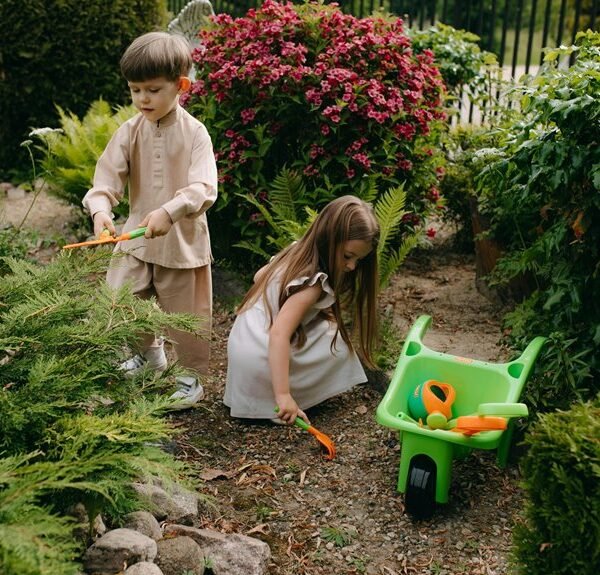 digital tools for growth